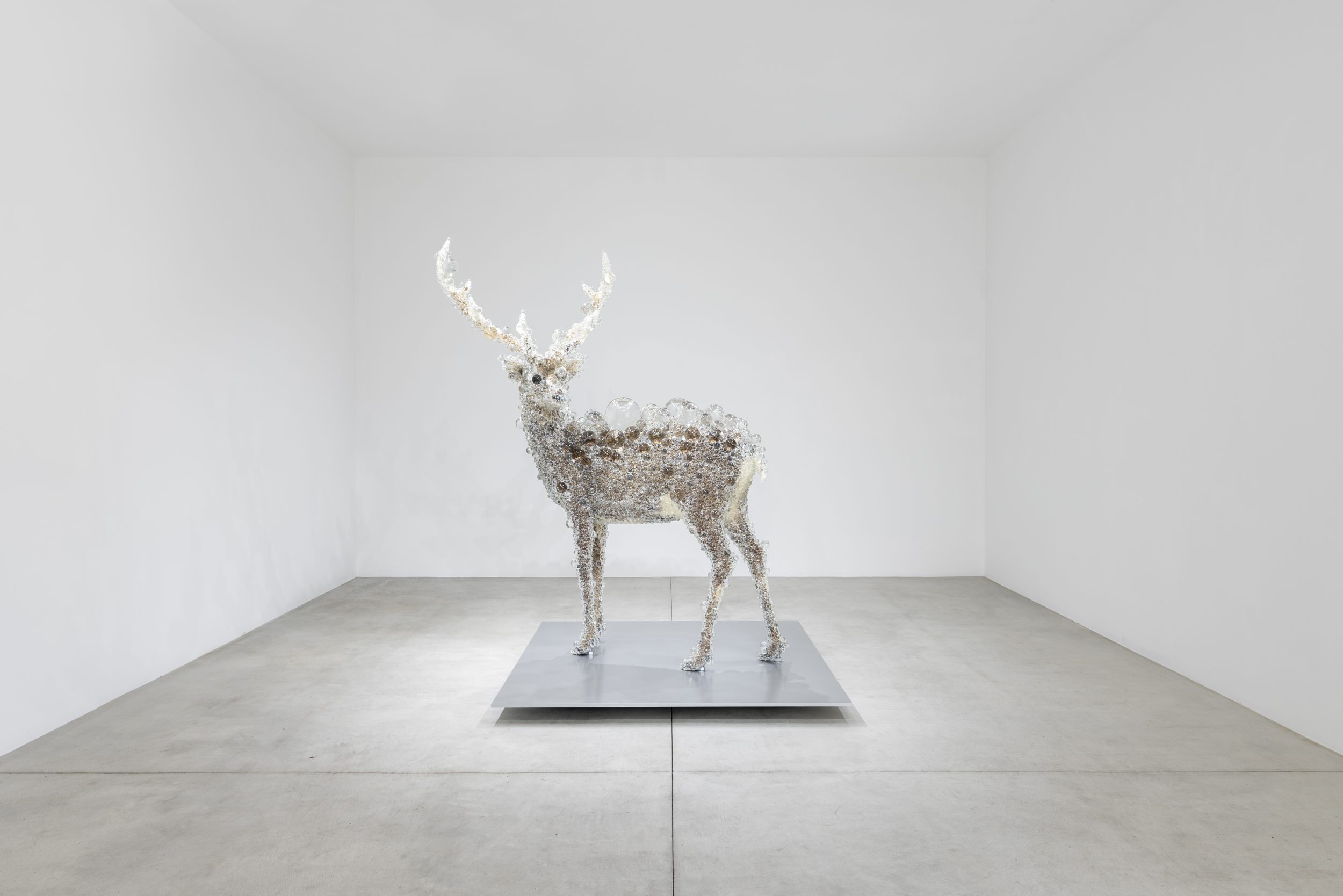 How to make art out of foam? Kohei Nawa shows you